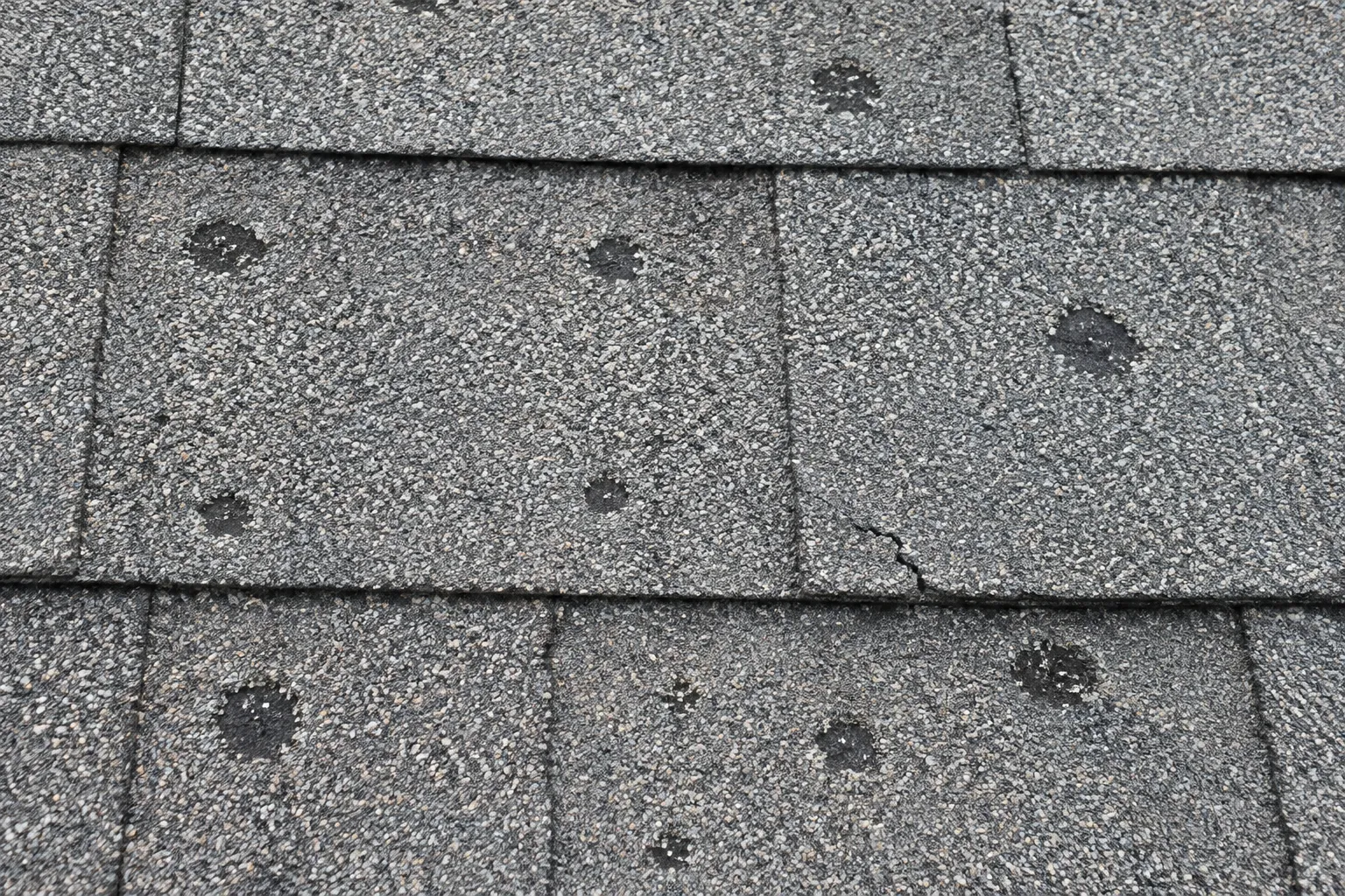 Asphalt shingles with round dark spots where hail knocked off the granules